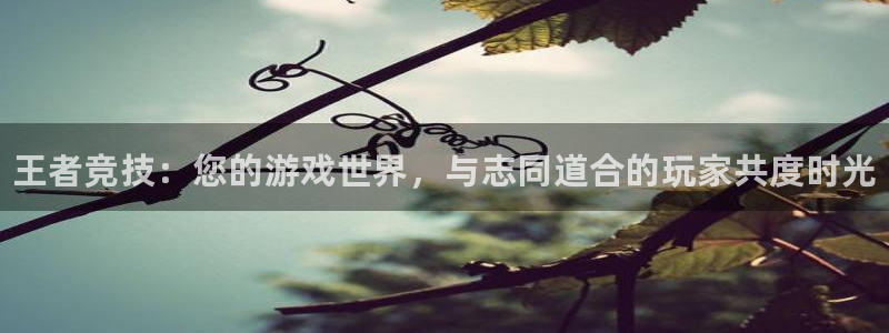 蓝冠娱乐注册登录平台：王者竞技：您的游戏世界，与志同道合的玩