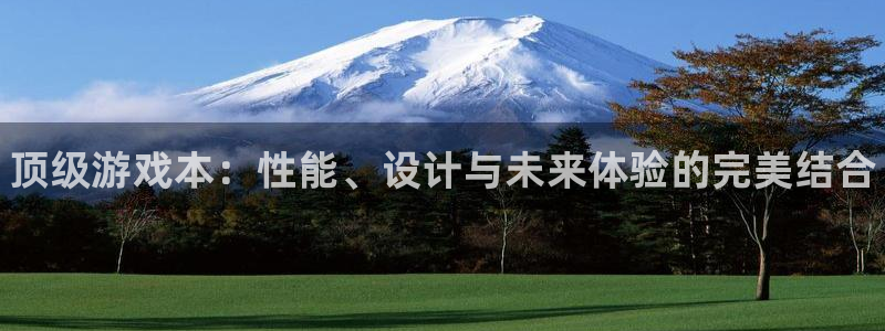 蓝冠娱乐登陆地址：顶级游戏本：性能、设计与未来体验的完美结合