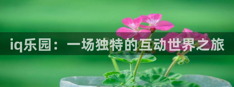 蓝冠娱乐注册登录平台：iq乐园：一场独特的互动世界之旅