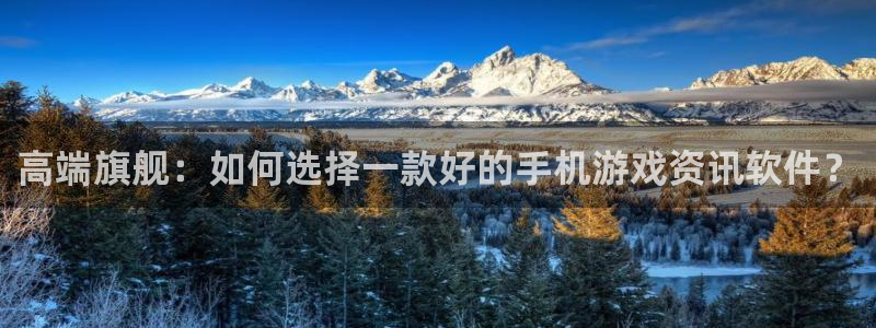 手机蓝冠娱乐下载安装：高端旗舰：如何选择一款好的手机游戏资讯