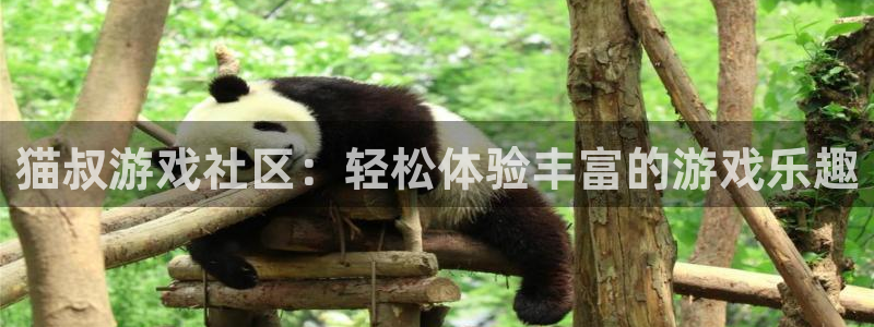 蓝冠娱乐app下载：猫叔游戏社区：轻松体验丰富的游戏乐趣